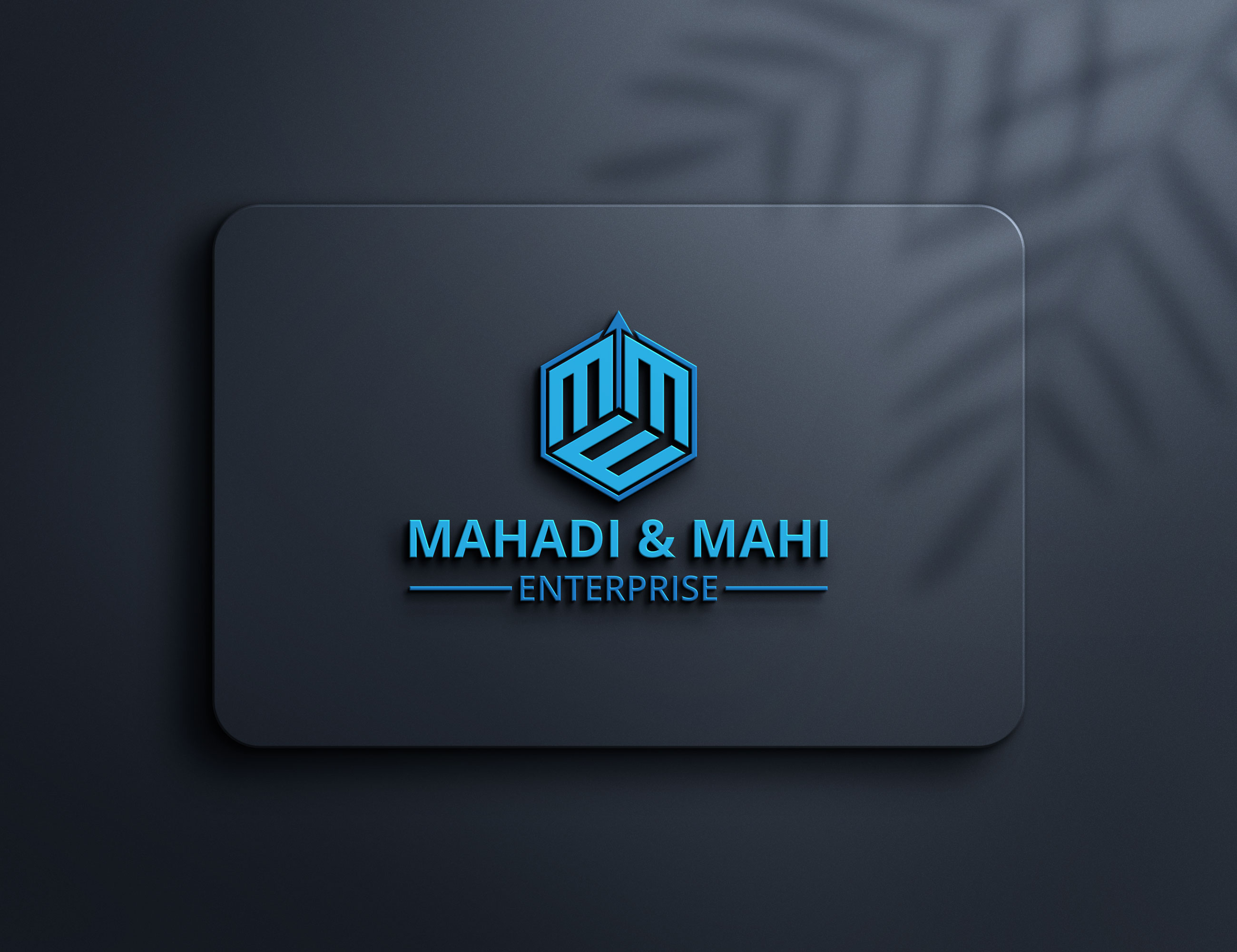 Mahadi & Mahi Enterprise